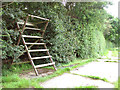 High seat on the western edge of Honeypot Wood