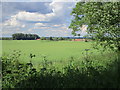 View towards Ellicar House and Woodlands Farm