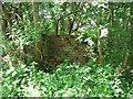 Remains of  bomb storage in Honeypot Wood