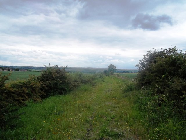 Course of Disused Railway near Woodthorpe