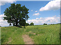 Track into fields by Holly Farm