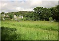 Meadow at Water