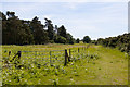 Suffolk Coast Path north of Decoy Wood