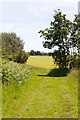 Footpath junction between Decoy Wood and Friar