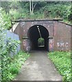 Subway under Railway - off Diadem Drive