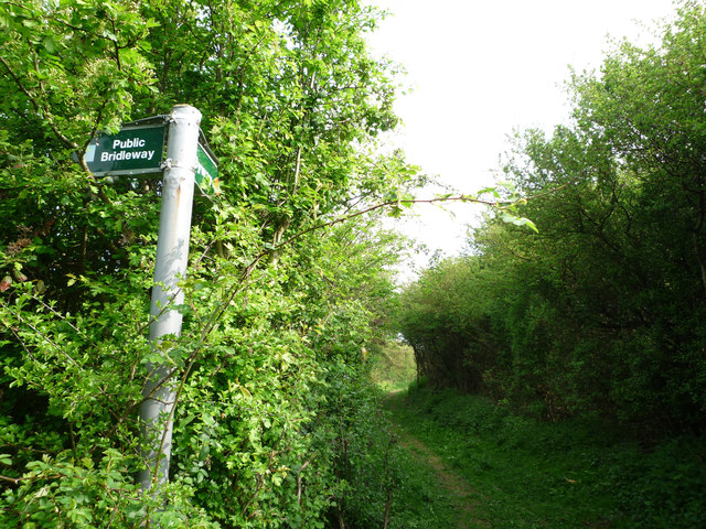 Signpost at end of Cow Lane