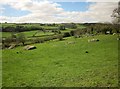 Fields at Linscott