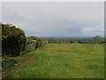 Field boundary and view across the Cheshire Gap