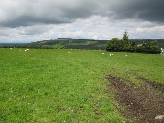 Grazing land at Hill of Edinvale