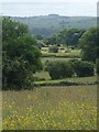 Meadows near Warslow