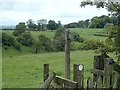 Footpath north of Warslow