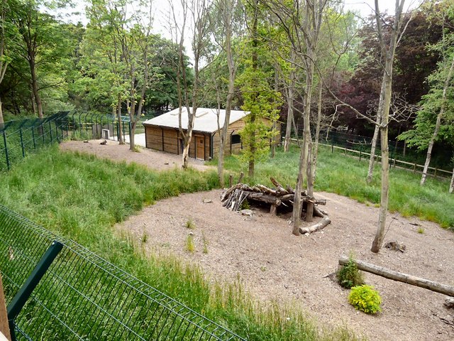 Wolf enclosure at Blackpool Zoo © Gerald England :: Geograph Britain ...