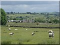 Fields towards Smedley Sytch