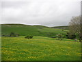 Fields just west of Keld