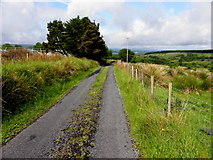 G9328 : Road at Greaghnaglogh by Kenneth  Allen