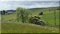 Hamps valley farmland