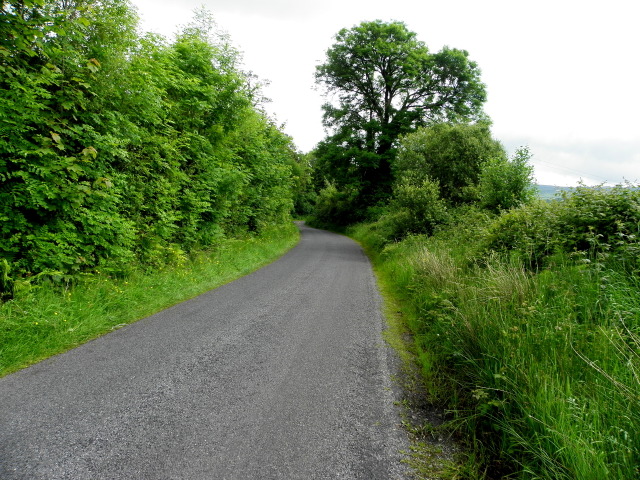 Road at Lavagh