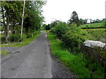 G9127 : Road at Lisacoghil by Kenneth  Allen