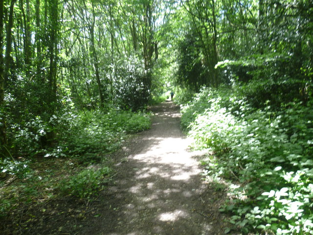 The Greensand Way in Stubbs Wood © Marathon :: Geograph Britain and Ireland