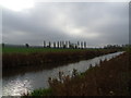 Chesterfield canal near Clarborough.