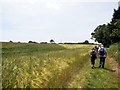 Ramblers at Sessingham Farm