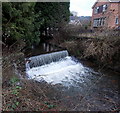 Small waterfall, Blackpool Brook, Blakeney