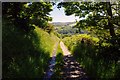 Coastal Path near Penbryn