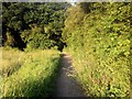 Footpath near Culcheth