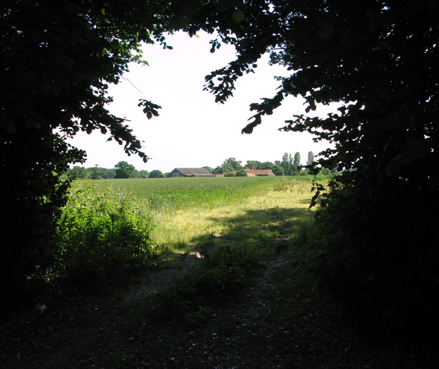 Fields south of Stone Road