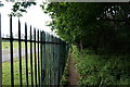 Path in Viaduct Plantation