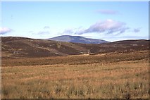 NO3892 : Upper reaches of the Pollagach Burn by Richard Webb