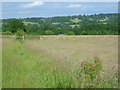 Footpath near Nevergood Farm