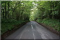 Minor Road in Withington Woods