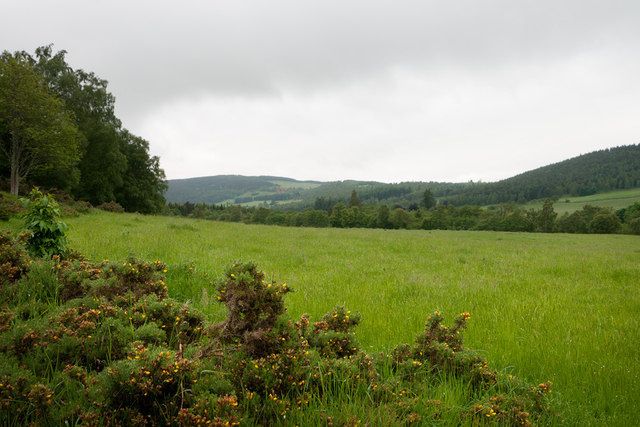 Field near the Fairy Loch in Glen Tanar