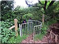 Gat Fochyn Coed y Marchog Kissing Gate