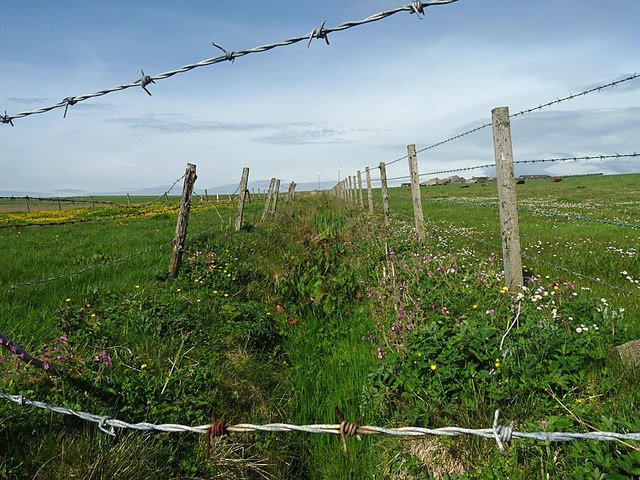 Ditch near Mussaquoy Farm, Deerness, Orkney