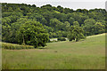 Field and Baynton Hillside Wood