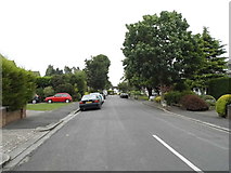 TQ2862 : Park Hill Road, Wallington by David Howard