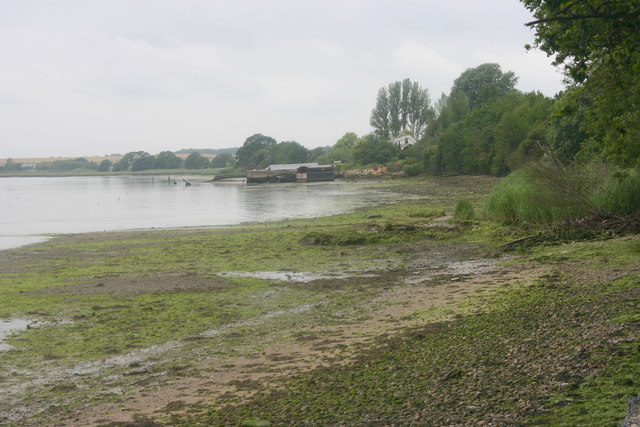 Muddy foreshore of River Stour west of Shotley Gate