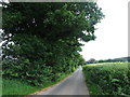 Axborough Lane, near Iverley