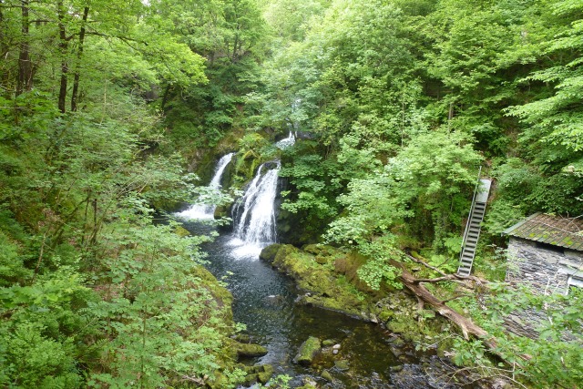 Colwith Force