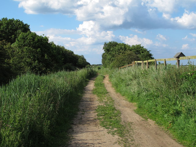 Track through the marshes, Hickling