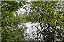 NO1222 : River Tay by Moncrieffe Island by William Starkey