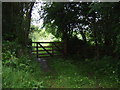 Field entrance near Egton Bridge