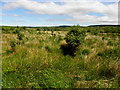 Sraghcumber Townland