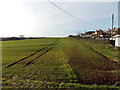 Twin tracks to the horizon, Dymock