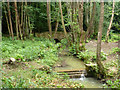 Stream in Rowfant House grounds