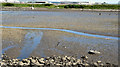 J3675 : Harbour lagoon, Belfast - June 2014(1) by Albert Bridge