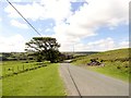 Road south of Muggleswick