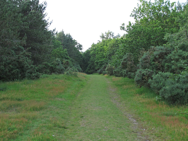 Path in Dunwich Forest
